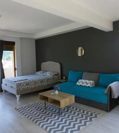 Guest house Ena