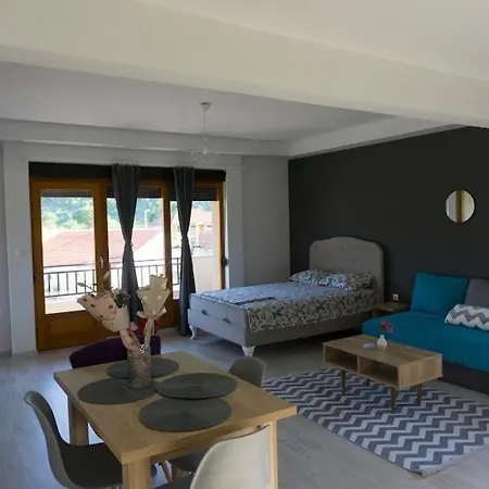 Ena Guest house *